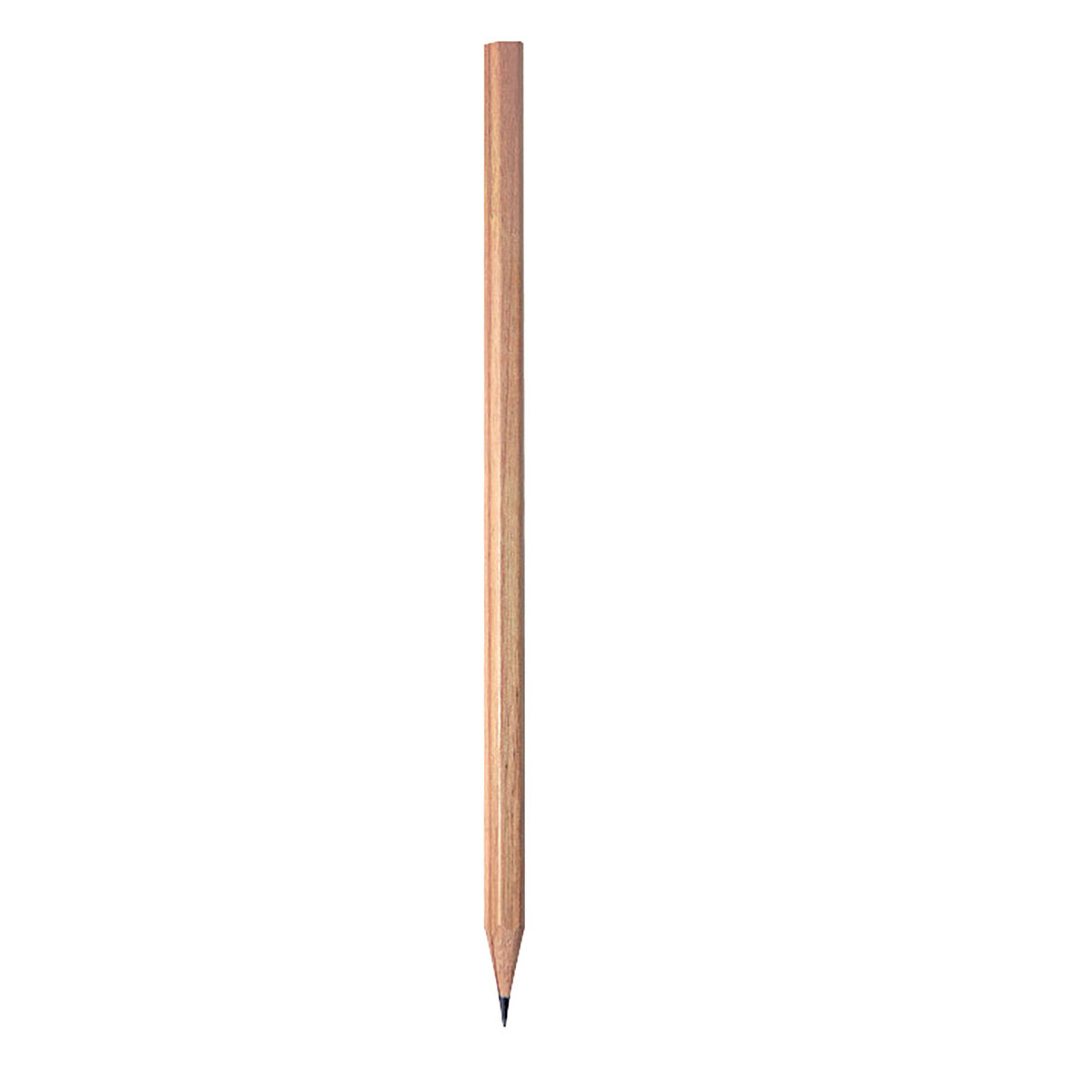 Altgen Kurun Kalem KM-00015