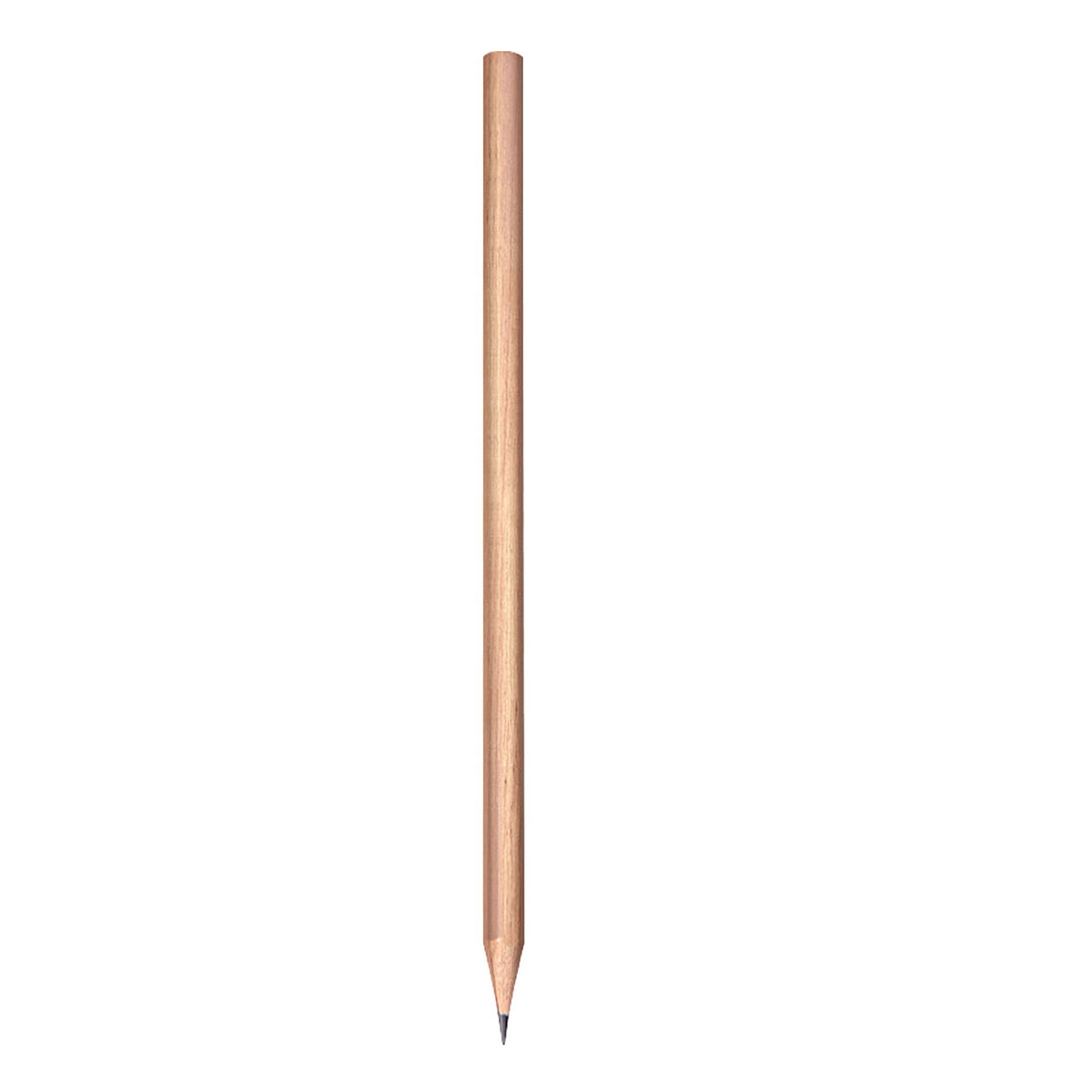 Yuvarlak Kurun Kalem KM-00022